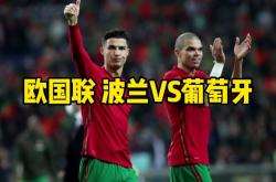开云体育入口-波兰队遭遇惨败，遗憾告别欧国联赛场的简单介绍