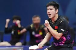 开云平台-德国乒乓球队逆转法国乒乓球队，樊振东关键制胜的简单介绍