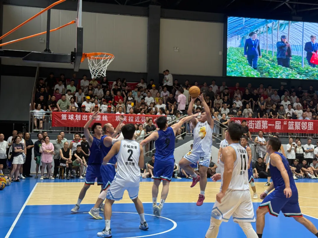 东南赛区篮球赛：激战结束，主队获胜