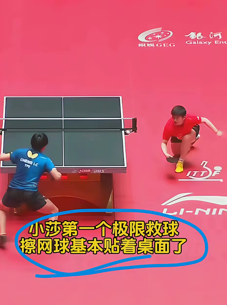 关于丹麦羽毛球队翻盘中国羽毛球队，马琳高光表现的信息