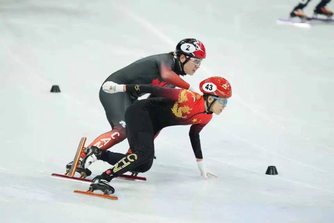 法国女子拳击队勇夺金牌，敢拼敢争的简单介绍