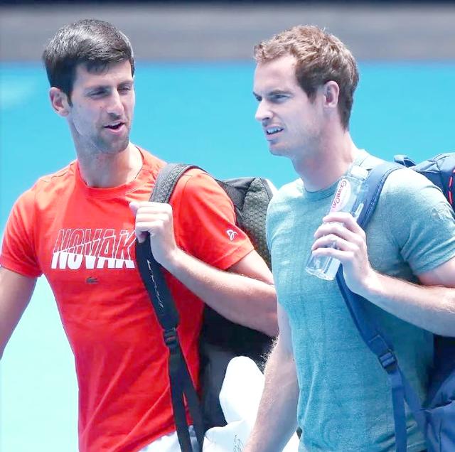 戴维斯杯完胜美网，穆雷带队取胜的简单介绍